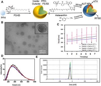 Neuroprotective Effect of Ultrasound Triggered Astaxanthin Release Nanoparticles on Early Brain Injury After Subarachnoid Hemorrhage